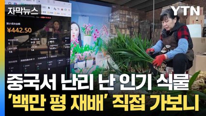 [자막뉴스] 중국서 '문전성시' 이룬 산업... 기대 안고 한국행 / YTN