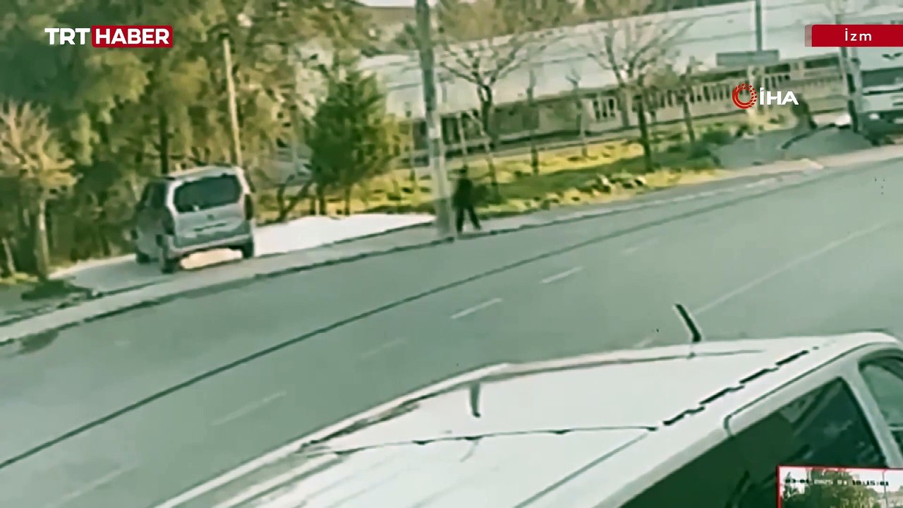 Başıboş köpekler yine bir çocuğa saldırdı