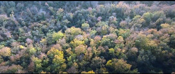 Un Posto Sicuro 🎬 - Trailer Ufficiale HD | Sopravvivenza in un Mondo Devastato