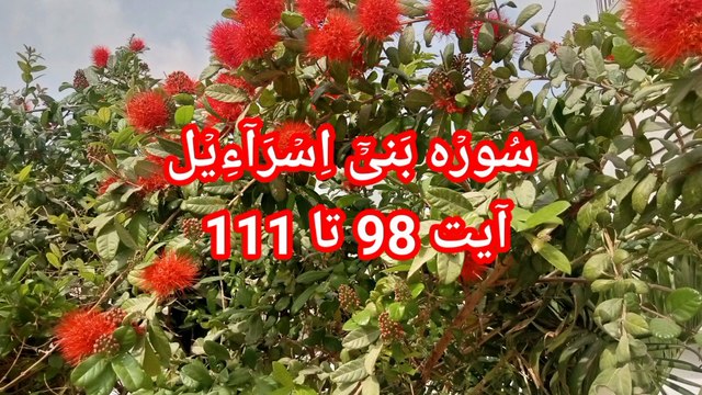 Surah Al Isra | Surah bani israel | quran pak ki tilawat | quran recitation | bubak learn quran |