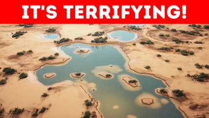 The Sahara Is Changing Too Fast, and Experts Don’t Like It