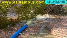 نگهداری فیلترشنی استخر