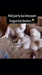 Holi party ka intezaam hogya hai doston😌🥂