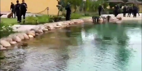 Academia, lago artificial e ostentação: veja fotos do resort de luxo do traficante Peixão