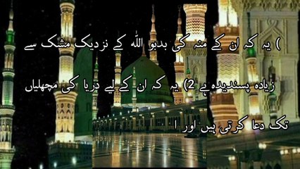 وہ پانچ چیزیں جو اللّٰه نے صرف حضور صلی اللّٰه علیہ وآلہ وسلّم کو دیں