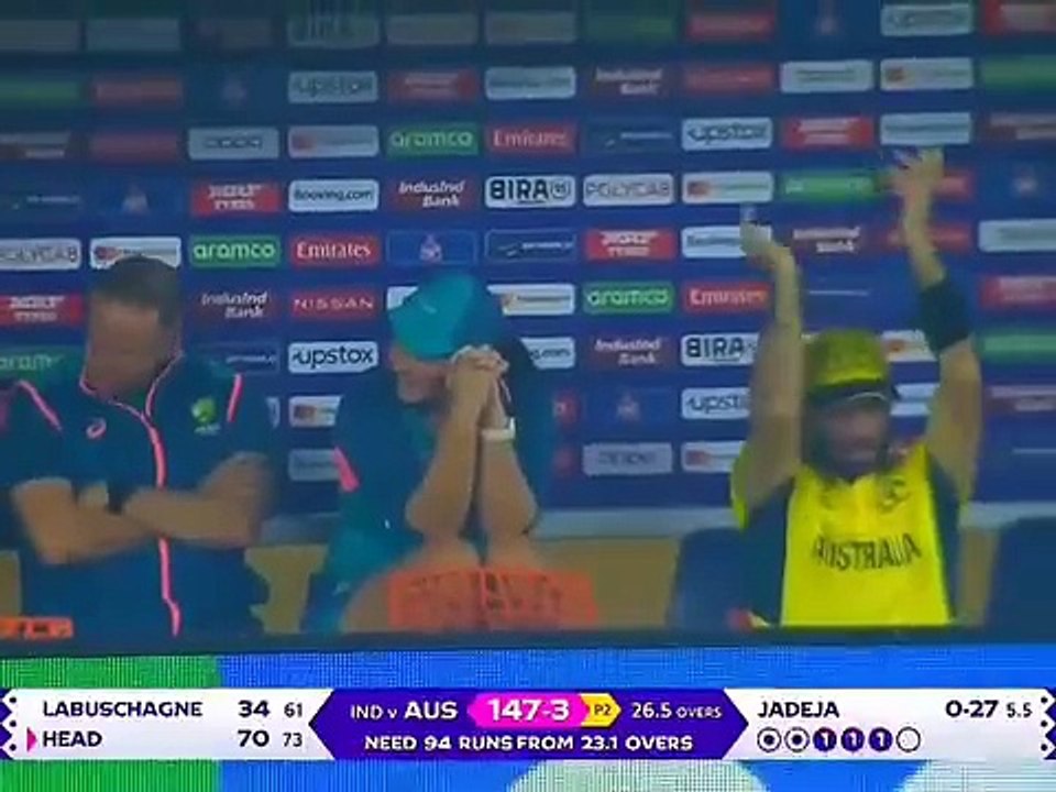 Cricket