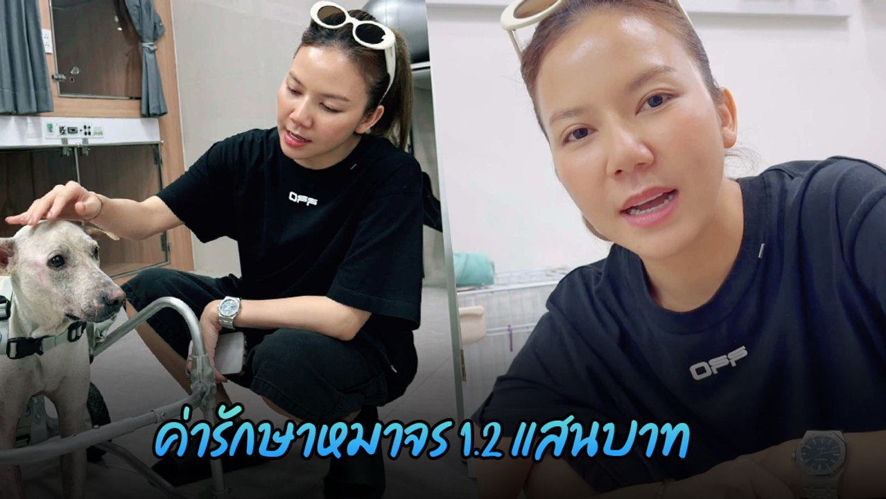 ชาวเน็ตชื่นชม จ๊ะ นงผณี ช่วยสุนัขจรจัดถูกรถชน ค่าใช้จ่ายหลักแสน