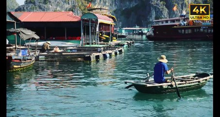 Discover the Beauty of Lan Ha and Halong Bay A One-Day Adventure