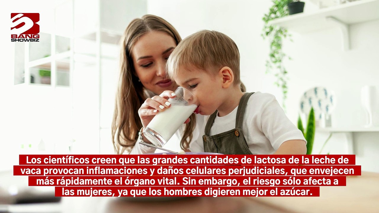Beber leche aumenta el riesgo de infarto en las mujeres