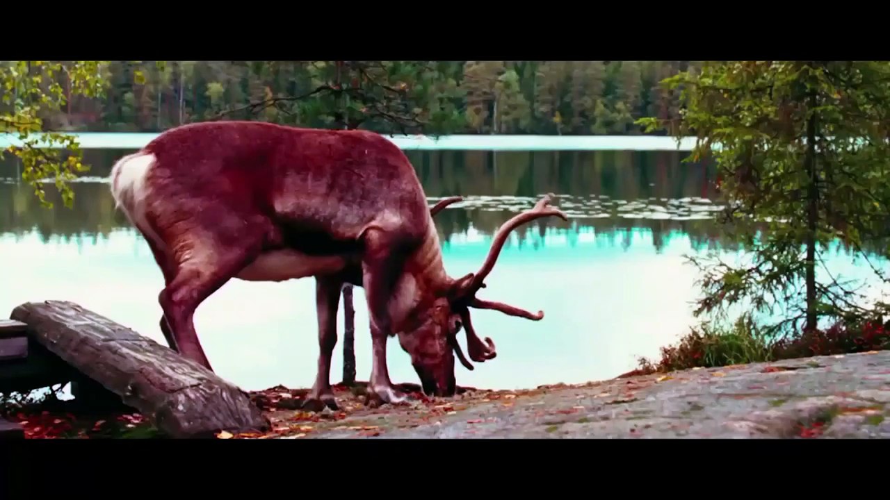 Let My People Go! | movie | 2011 | Official Trailer