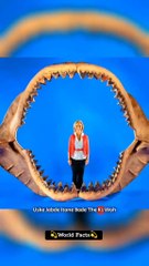 Megalodon Shark🌊🦈😱😱😱 #foryou #foryoupage #knowladge #facts #fyp #ai #fypシ