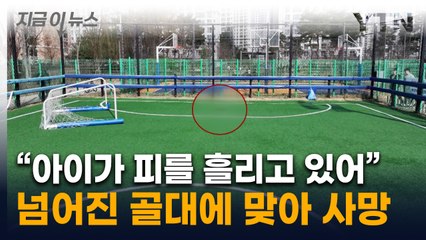 넘어진 골대가 그대로 초등생 향해...머리 맞아 사망 [지금이뉴스] / YTN