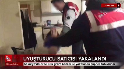 Sakarya’da evde 385 gram bonzai ile yakalanan şüpheli tutuklandı