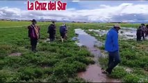 Cultivos de avena, alfa alfa y cebada bajo en agua en Gauqui, La Paz