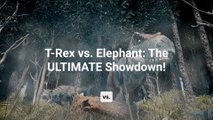 If a T. rex raced an elephant, who would win?