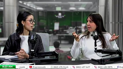 Mitos y prejuicios sobre los animales de compañía