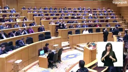 Senadora del PP, a Bolaños con Sánchez: "Irá antes a Waterloo..."