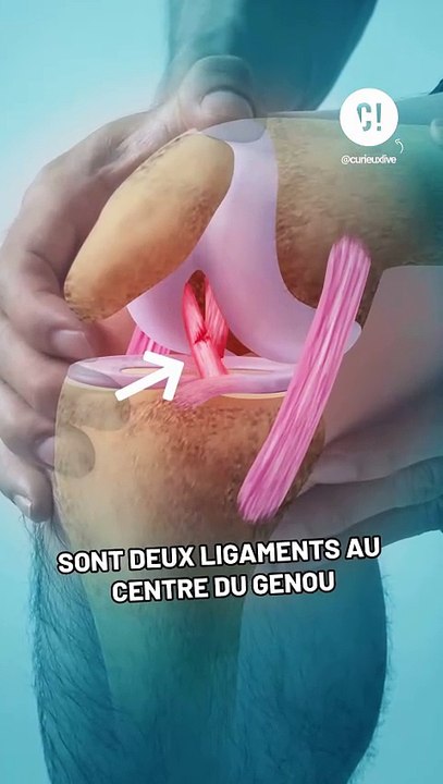 Se faire les ligaments croisés, c'est grave ?