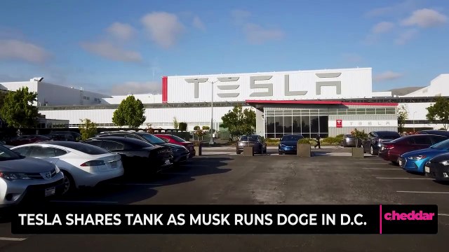 Tesla Shares Tank as Musk Runs DOGE in D.C.