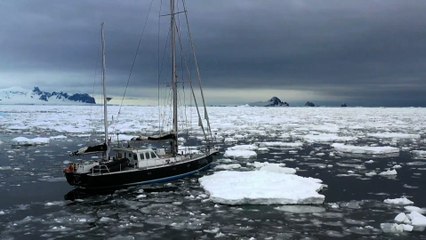 Fleur Australe - Le continent blanc