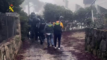 Desmantelada una plantación de marihuana con cuatro okupas detenidos