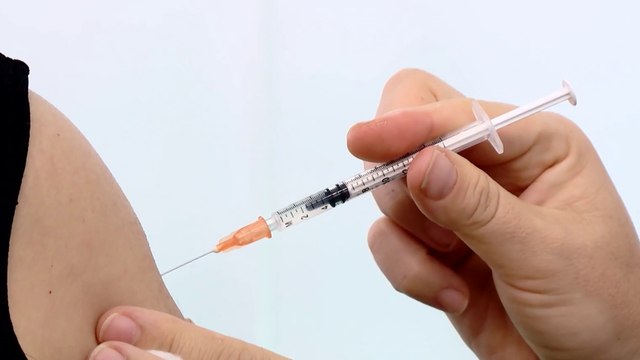 tn7-estos-son-los-paises-a-los-que-costa-rica-exige-vacuna-contra-fiebre-amarilla-110325