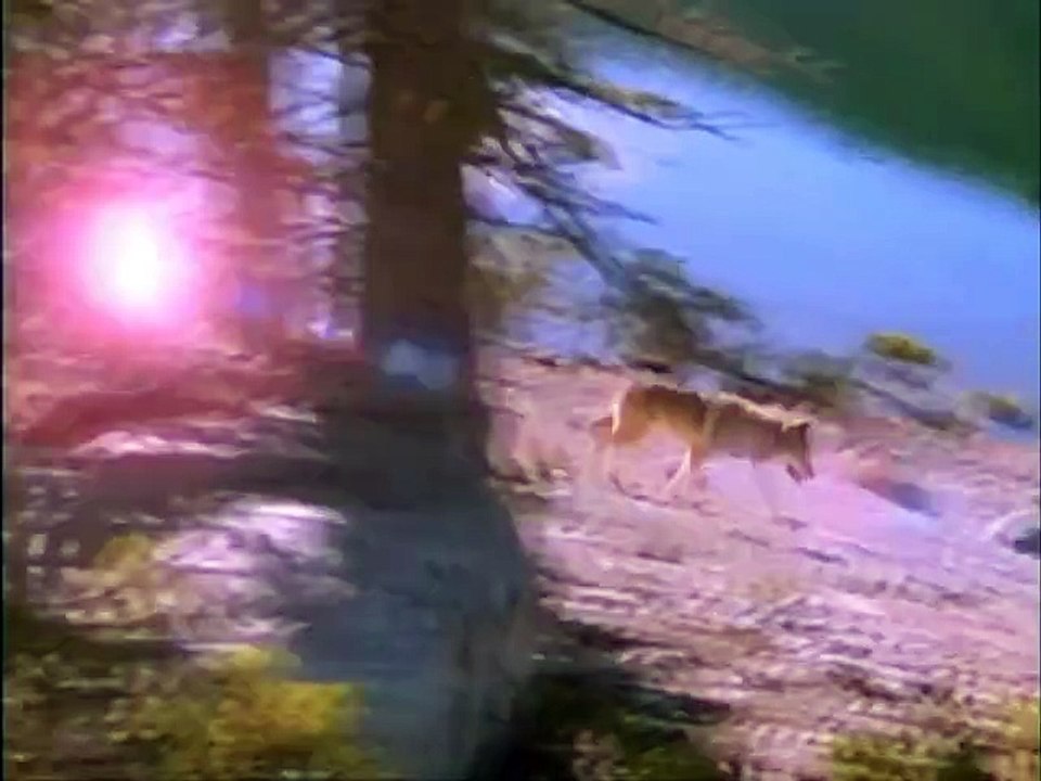 Lucan (1977)  S01E02 - The Search