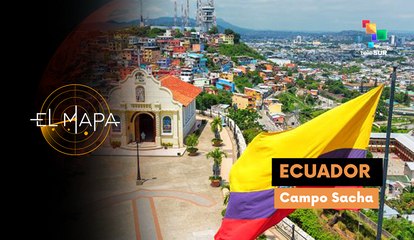 Vectores del día 11-03-25: Ecuador | Campo Sacha