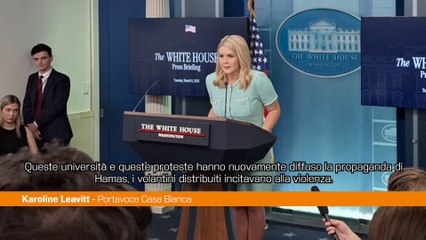 Usa, Leavitt "Proteste università diffondono propaganda di Hamas"
