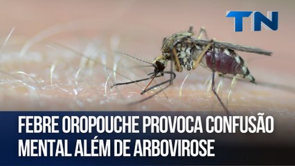 Febre Oropouche provoca confusão mental além de Arbovirose | Cuide-se Bem!