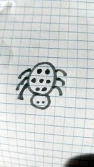 Ragno disegno  modello 6