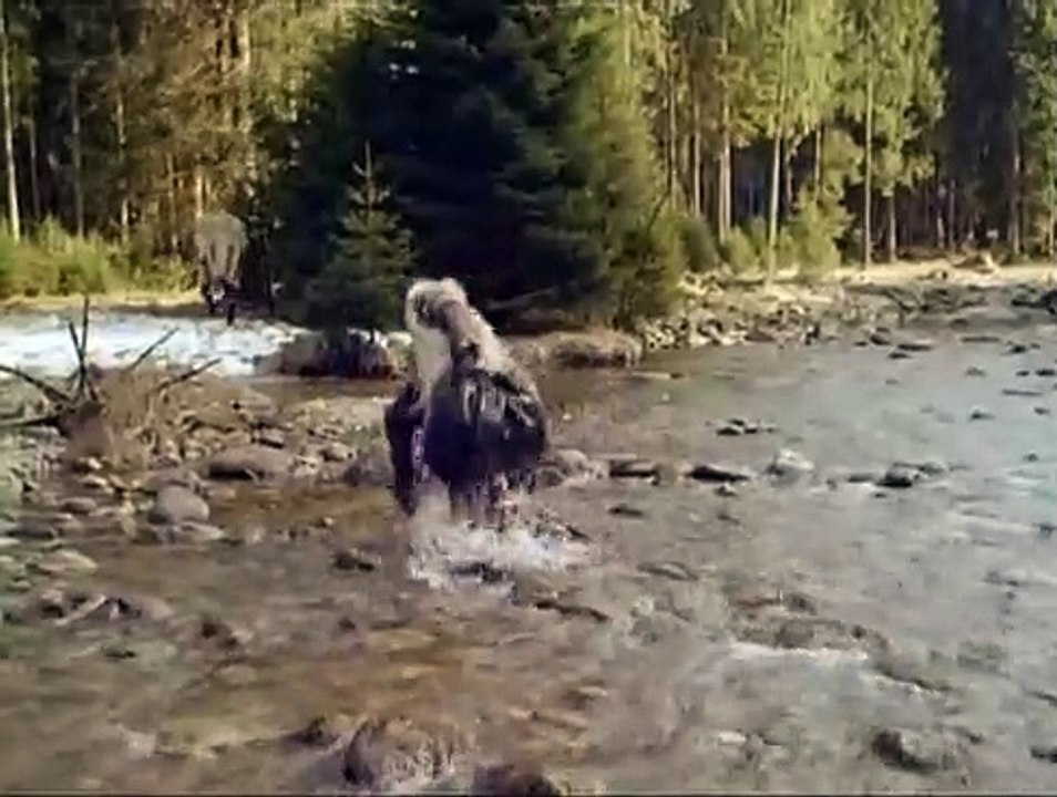 Alaska Kid (1991)  E02 - Lebendig begraben