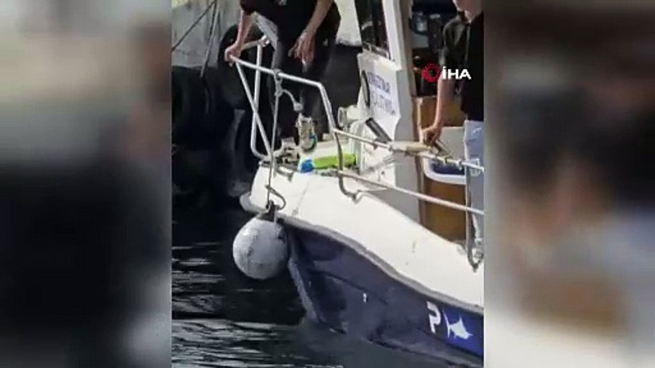 Bursa\'da dev orkinos paniği