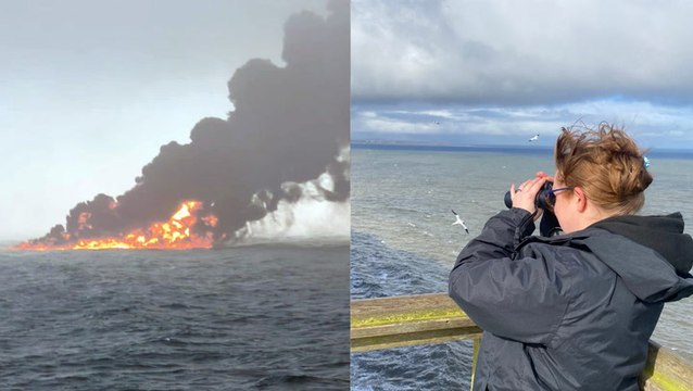 Fears for hundreds of thousands of seabirds on the East Yorkshire coast after North Sea collision
