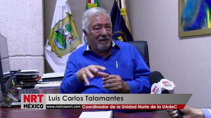 Detectan venta de “brownies felices” con marihuana en la UAdeC Monclova