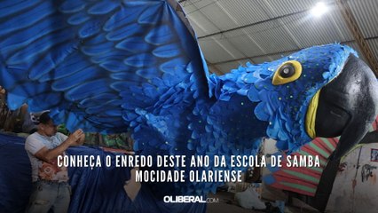 Conheça o enredo deste ano da escola de samba Mocidade Olariense