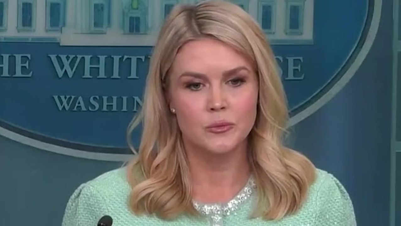 White House press secretary Karoline Leavitt spars with reporter over whether tariffs are ‘taxes’