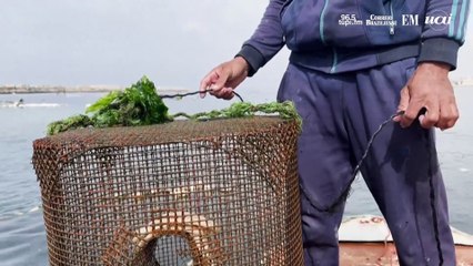 Na falta de barcos, palestinos usam portas de geladeiras para pescar
