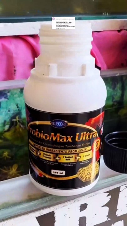 Rekomendasi probiotik terbaik untuk pemijahan lele dikolam tertutup