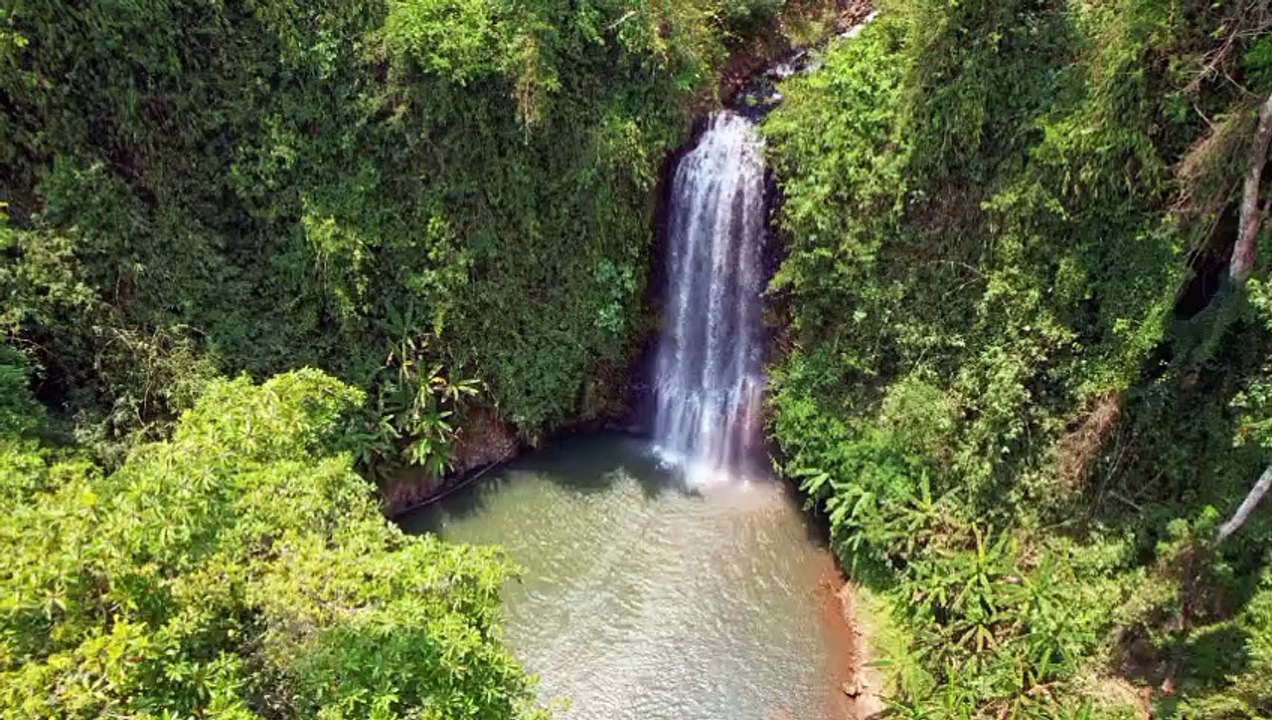 Nature is the best beauty