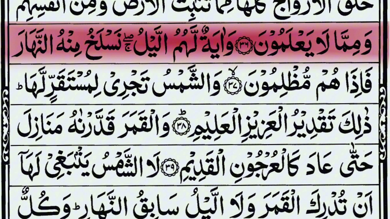 Surah Yaseen | Beautiful Quran recitation of Surah Yasin (Yaseen) سورة يس #Dailymotion #video #Quran