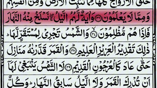 Surah Yaseen | Beautiful Quran recitation of Surah Yasin (Yaseen) سورة يس #Dailymotion #video #Quran