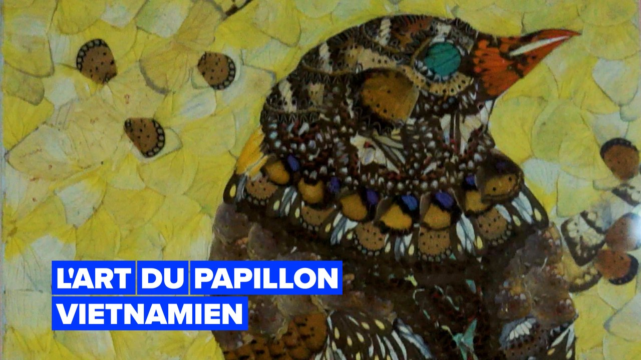 Cet art vietnamien qui suscite le débat