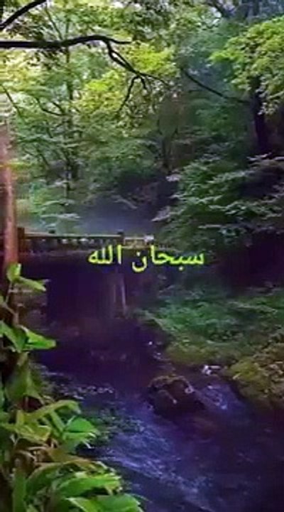 ساعة كاملة من اروع تلاوات القران الكريم