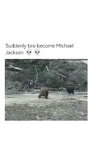 Grizzly MJ bear shot