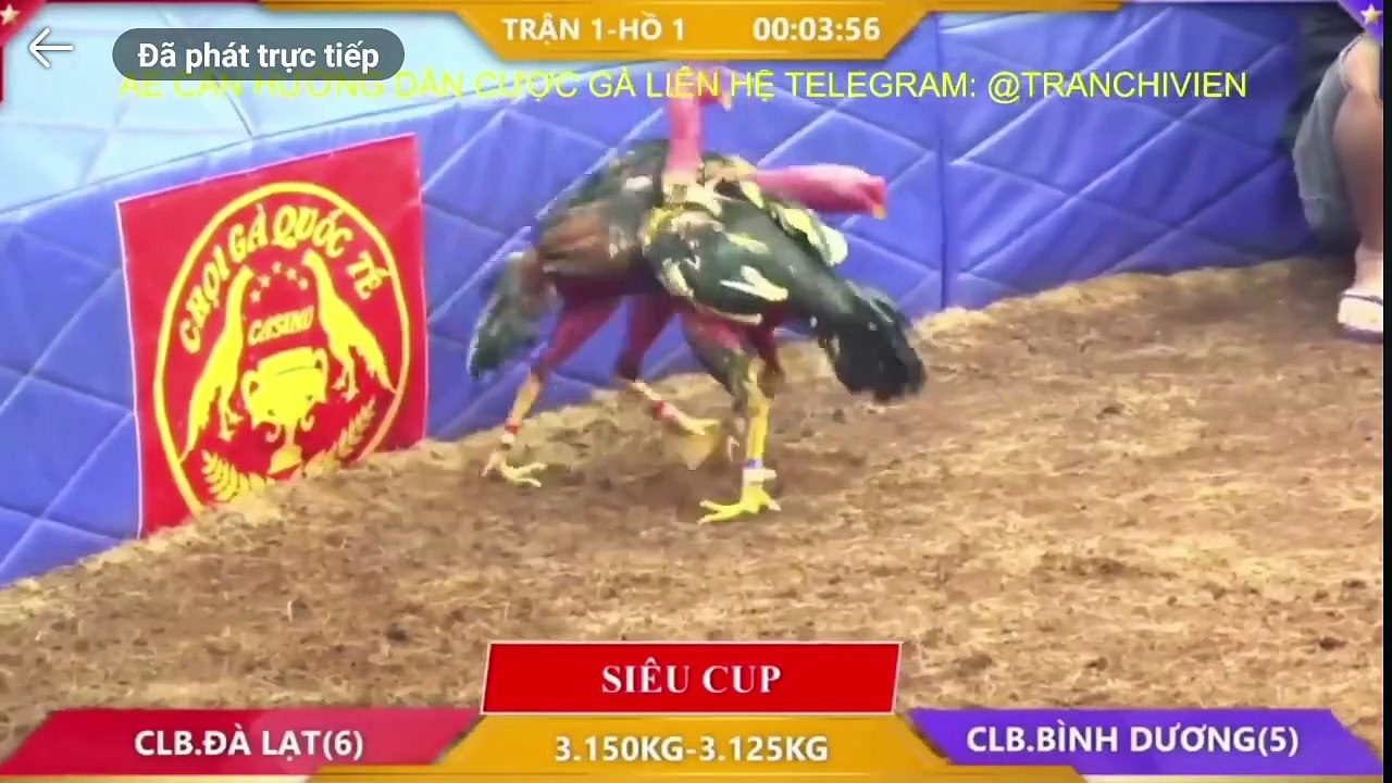Siêu cúp 2 tỷ A Hiếu Đà Lạt - A Thỏ  Bình Dương (Hồ 1)