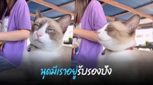 เมื่อเจ้าเหมียวแย่งซีนทาส นุดมีเราอยู่รับรองคลิปนี้ปัง