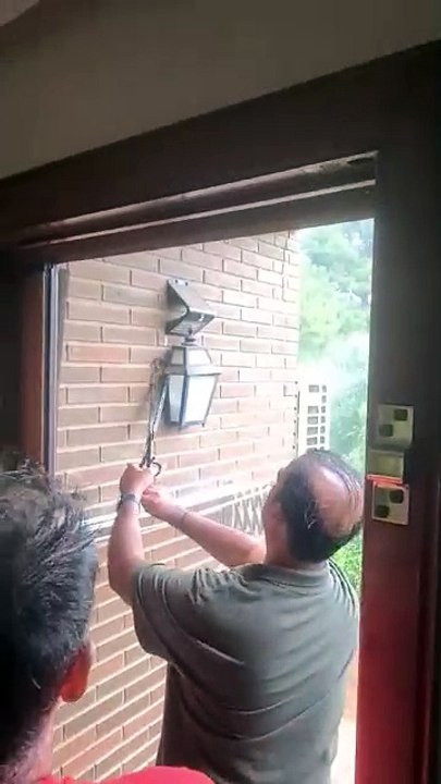 Aggressive Snake inside the lamp