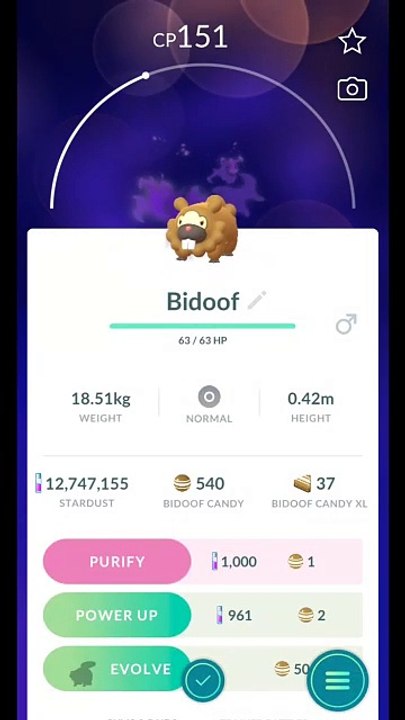 Pokémon GO-Purifying Shadow Bidoof