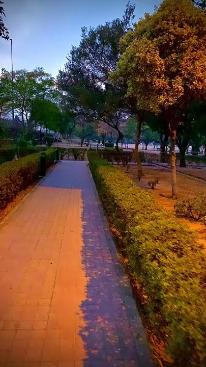 Night View